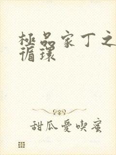 极品家丁之因果循环