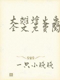 大杂烩火车小说全文免费阅读