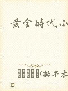 黄金时代小说
