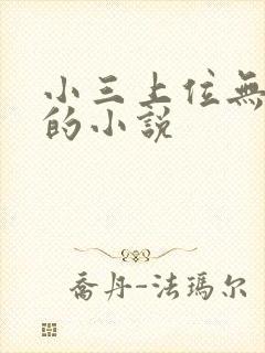 小三上位无三观的小说