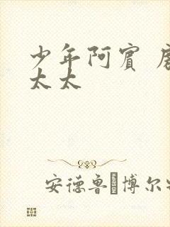 少年阿宾 房东太太