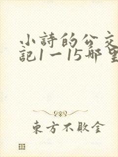 小诗的公交车日记1一15哪里能看
