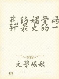 我的媚骨妈妈林轩最火的一句