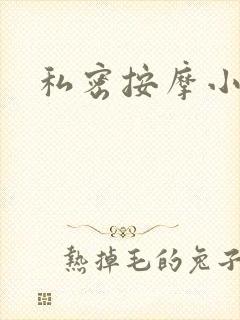 私密按摩小说