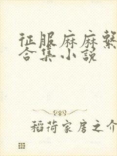 征服麻麻系列大合集小说