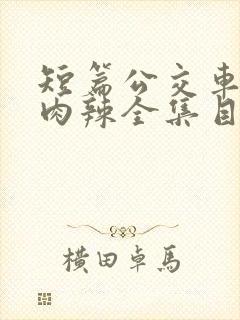 短篇公交车高h肉辣全集目录