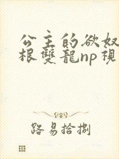 公主的欲奴h四根双龙np视频