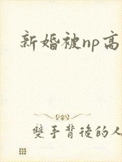 新婚被np高h