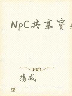 NpC共享宝贝