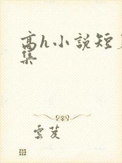 高h小说短篇合集