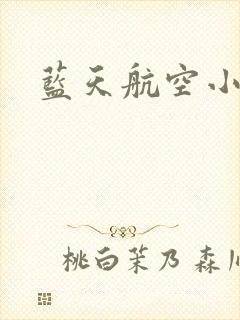 蓝天航空小说