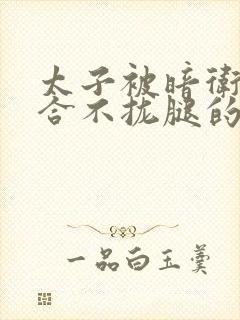 太子被暗卫c到合不拢腿的后果