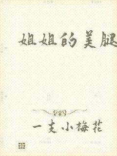 姐姐的美腿