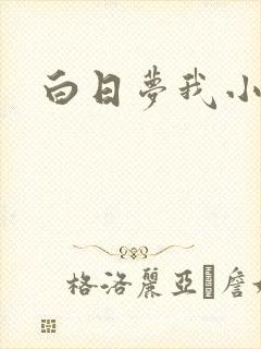 白日梦我小说