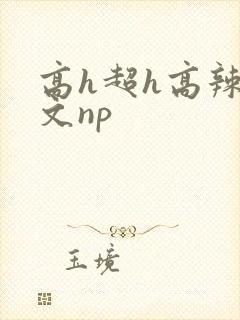 高h超h高辣h文np