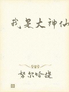 我是大神仙小说