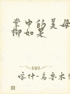 掌中的美母版主柳如是