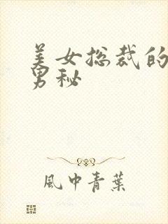 美女总裁的贴身男秘