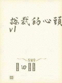 总裁的心头宝1v1