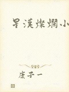 星汉灿烂小说