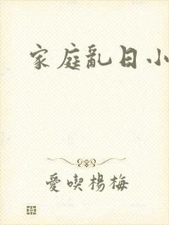 家庭乱日小说