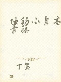 他的小月亮by青藤