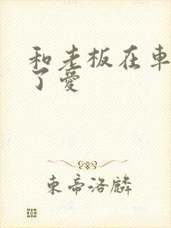 和老板在车里做了爱