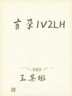 有孕1V2LH