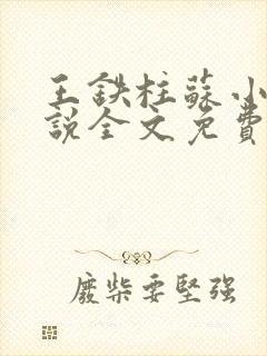 王铁柱苏小汐小说全文免费阅读最新章节