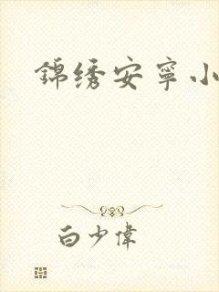 锦绣安宁小说