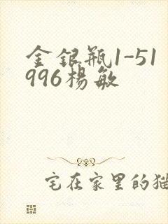 金银瓶1-51996杨敏
