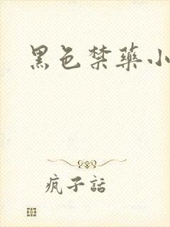 黑色禁药小说