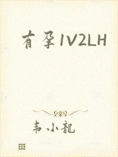 有孕1V2LH