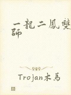 一龙二凤双飞老师