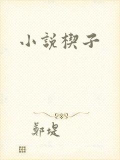 小说楔子