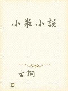 小米小说