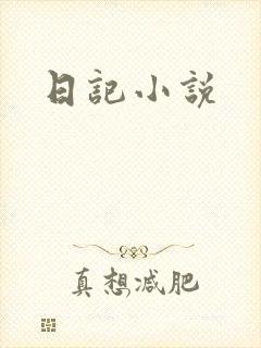 日记小说