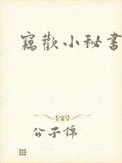 窃欢小秘书