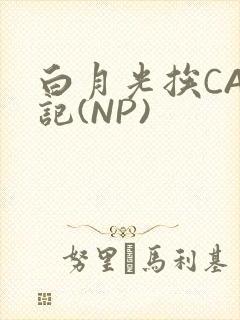 白月光挨CAO记(NP)