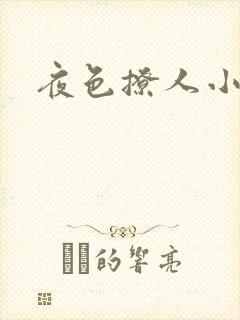 夜色撩人小说