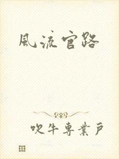 风流官路