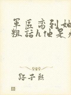 军区脔到她哭h粗话h他是疯批