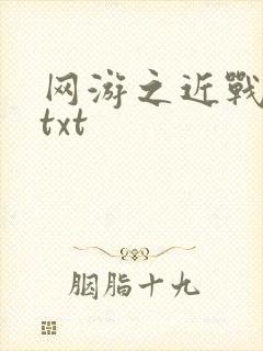 网游之近战法师txt