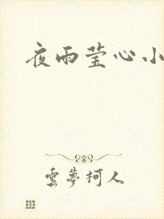 夜雨莹心小说