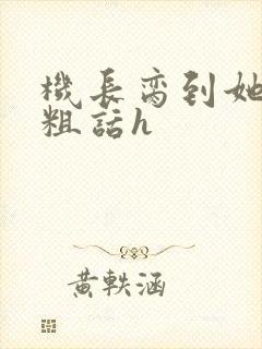 机长脔到她哭h粗话h