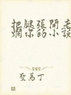 把腿张开老子臊烂你的小说