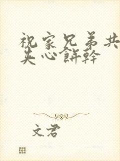 祝家兄弟共享后夹心饼干