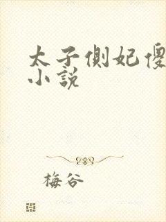 太子侧妃傻乎乎小说