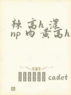 辣 高h 浓 np 肉 黄高h