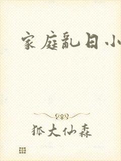 家庭乱日小说